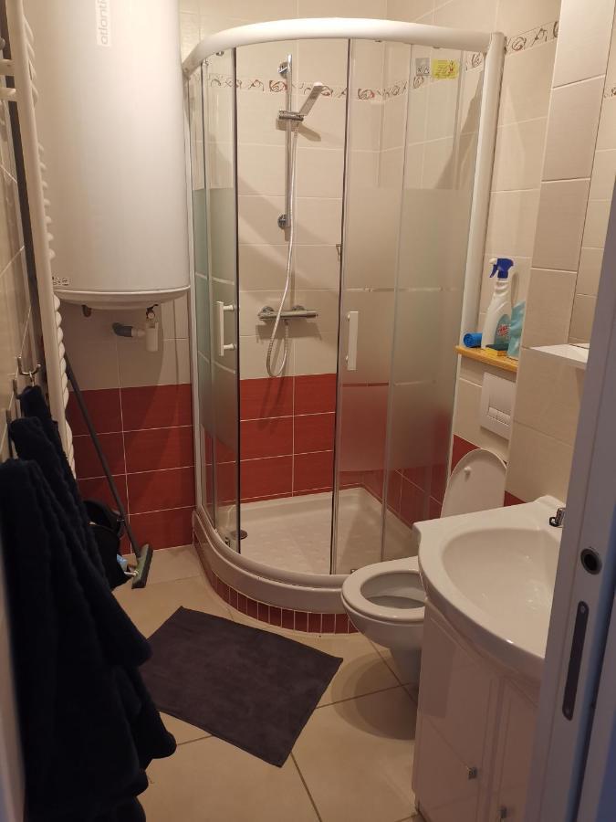 Appartement Au Pied Des Pistes Saint-Lary-Soulan Kültér fotó